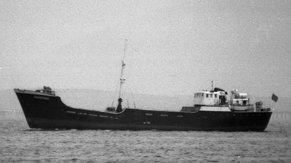 Mariposa by T. Diedrich Mariposa by T. Diedrich